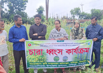 সখীপুরে ইউক্যালিপটাস ও আকাশমণির ৫৩ হাজার চারা ধ্বংস