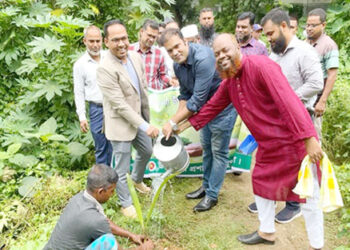 পরিবেশের ভারসাম্য রক্ষায় মধুপুরে বৃক্ষরোপণ