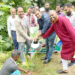 পরিবেশের ভারসাম্য রক্ষায় মধুপুরে বৃক্ষরোপণ
