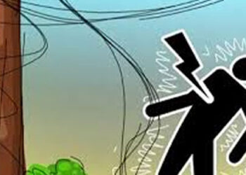 সখীপুরে বিদ্যুৎপৃষ্টে কৃষকের মৃত্যু