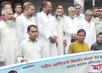 জামায়াতের অনেক দায় বিএনপি নিয়েছে- সুলতান সালাউদ্দিন টুকু