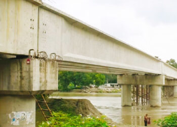 'দুধ দিয়ে কালসাপ পুষছে টাঙ্গাইল  এলজিইডি'