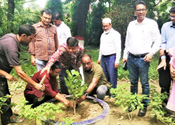 টাঙ্গাইল এলজিইডির বৃক্ষরোপণ কর্মসূচি পালিত