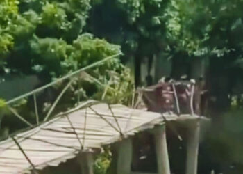 ২২ গ্রামের চাঁদায় গড়া বাঁশের সাঁকো ভেঙে পড়লো কচুরিপানার চাপে