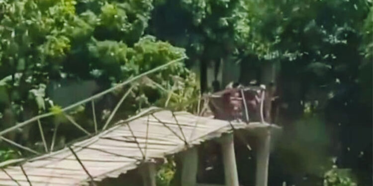 ২২ গ্রামের চাঁদায় গড়া বাঁশের সাঁকো ভেঙে পড়লো কচুরিপানার চাপে