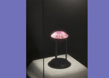 ৮ ঘণ্টায় ২৫ মিলিয়ন ডলারের পিংক হীরা উদ্ধার দুবাই পুলিশের সফল অভিযান