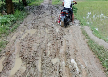 সখীপুরে বেলতলী বিন্নাখাইড়া বেহাল কাঁচা রাস্তাটি পাকা করার দাবি এলাকাবাসীর