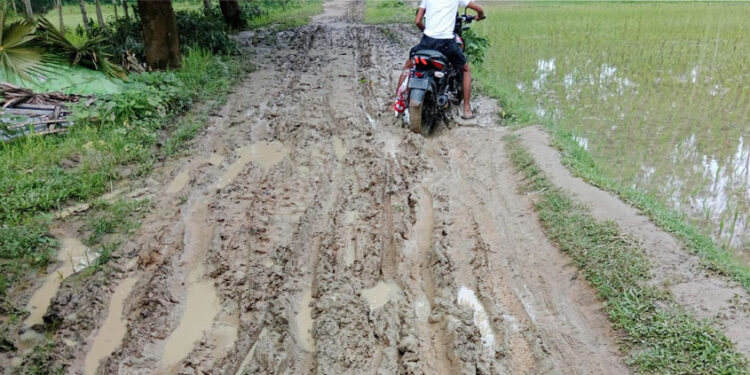 সখীপুরে বেলতলী বিন্নাখাইড়া বেহাল কাঁচা রাস্তাটি পাকা করার দাবি এলাকাবাসীর