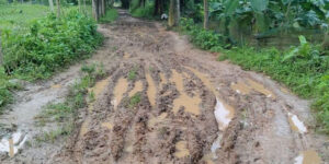 সখীপুরে বেলতলী বিন্নাখাইড়া বেহাল কাঁচা রাস্তাটি পাকা করার দাবি এলাকাবাসীর