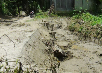 নাগরপুরে সরকারি রাস্তা দ"খ"ল করতে মরিয়া ইউপি সদস্য সুনিল