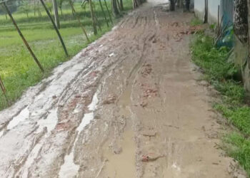 ধনবাড়ী উপজেলার উখারিয়াবাড়ী ডিগ্রি কলেজের সামনে কাঁচা সড়কে চলাচলে দু"র্ভো"গ