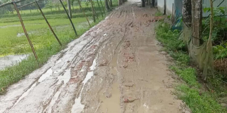 ধনবাড়ী উপজেলার উখারিয়াবাড়ী ডিগ্রি কলেজের সামনে কাঁচা সড়কে চলাচলে দু"র্ভো"গ