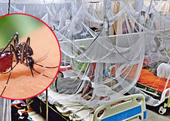 ২৪ ঘণ্টায় ডেঙ্গুতে ৩ জনের মৃ"ত্যু