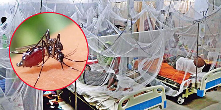 ২৪ ঘণ্টায় ডেঙ্গুতে ৩ জনের মৃ"ত্যু