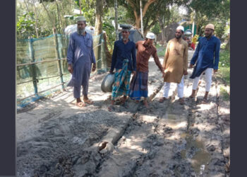 গোপালপুরের বাইশকাইলে রাস্তা সংস্কারে জামায়াতের অংশগ্রহণ