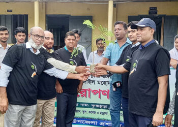 ধনবাড়ীতে বৃক্ষ রোপণ কর্মসূচি পালন