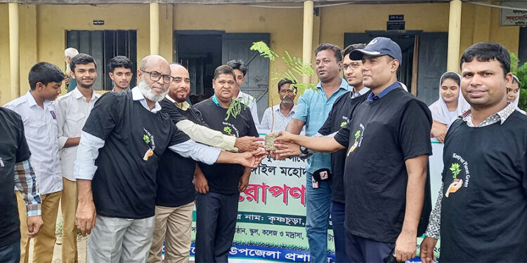 ধনবাড়ীতে বৃক্ষ রোপণ কর্মসূচি পালন
