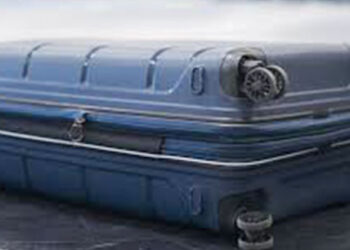 নিউজিল্যান্ডে স্যুটকেস খুলতেই মিলল ২ বছরের জীবিত শিশু