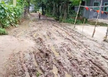 ধনবাড়ীর মমিনপুরে কাঁচা রাস্তায় হাঁটাও ক'ষ্ট'ক'র