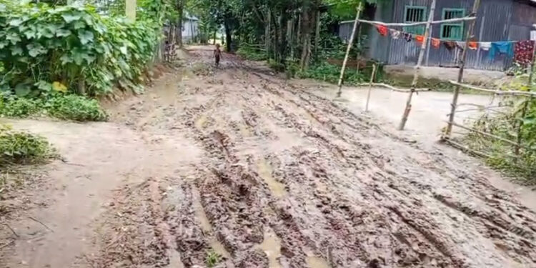 ধনবাড়ীর মমিনপুরে কাঁচা রাস্তায় হাঁটাও ক'ষ্ট'ক'র