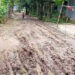 ধনবাড়ীর মমিনপুরে কাঁচা রাস্তায় হাঁটাও ক'ষ্ট'ক'র
