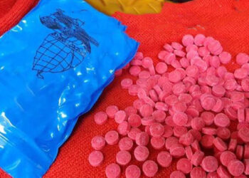 মির্জাপুরে মাদকবিরোধী অভিযানে সাফল্য, গ্রেপ্তার ২