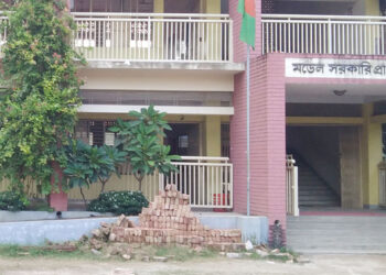 টাঙ্গাইল মডেল প্রাথমিক বিদ্যালয় লাইব্রেরীতে গোপনে দ্বিতীয় মূল্যায়ন পরীক্ষা দিল শিক্ষার্থীরা