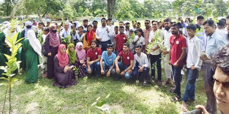 কালিহাতী ব্লা"ড ফাউন্ডেশন এর উদ্যোগে বৃক্ষরোপন কর্মসূচি অনুষ্ঠিত