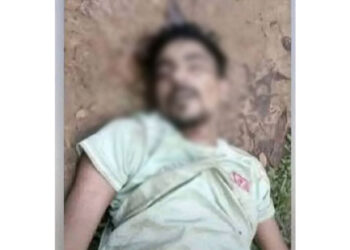 সখিপুরে গণপিটুনিতে অটোভ্যান চোরের মৃত্যু