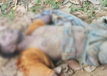 মধুপুরে গণপিটুনিতে অটোরিকশা চোর নিহত