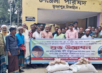 ভূঞাপুরে কৃষি প্রণোদনা পেলেন সাড়ে ৬ হাজার কৃষক