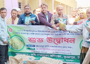 ভূঞাপুরে বিনামূল্যে বোরো ধানের বীজ ও সার বিতরণ কর্মসূচির উদ্বোধন
