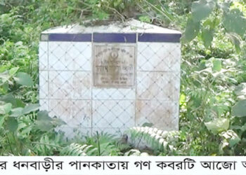 মধুপুর-ধনবাড়ী আজ হানাদার মুক্ত দিবস