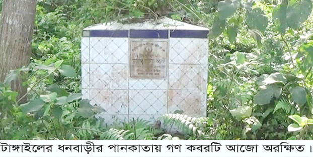 মধুপুর-ধনবাড়ী আজ হানাদার মুক্ত দিবস