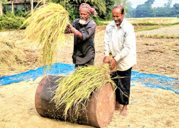 ভালো বীজ ও আধুনিক যন্ত্র সহজলভ্য হচ্ছে টাঙ্গাইলে কৃষকের মুখে খুশির ঝিলিক
