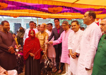 বাসাইলে হতদরিদ্রদের মধ্যে বিনামূল্যে ছাগল বিতরণ