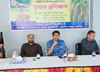 ধনবাড়ীতে আধুনিক ধান উৎপাদন প্রযুক্তি বিষয়ক কৃষক প্রশিক্ষণ