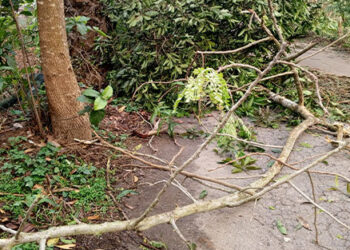 সখীপুরে কালবৈশাখী ঝড়ের তান্ডবে ব্যাপক ক্ষয়ক্ষতি