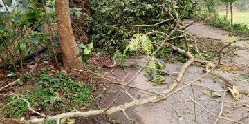 সখীপুরে কালবৈশাখী ঝড়ের তান্ডবে ব্যাপক ক্ষয়ক্ষতি