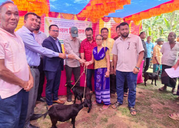 মধুপুরে ক্ষুদ্র-নৃগোষ্ঠীর মাঝে ছাগল বিতরণ অনুষ্ঠিত