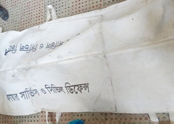 মধুপুরে বিদ্যুৎস্পৃষ্ঠে এক নারীর মৃত্যু 