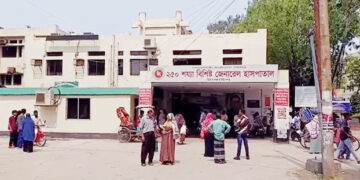 টাঙ্গাইলে পুকুরে ডুবে দুই ভাইয়ের মৃত্যু