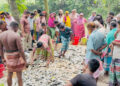ধনবাড়ীতে রাইস মিলে অগ্নিসংযোগ, মাছ নিধন; ৭-৮ লাখ টাকার ক্ষতির অভিযোগ