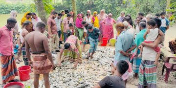 ধনবাড়ীতে রাইস মিলে অগ্নিসংযোগ, মাছ নিধন; ৭-৮ লাখ টাকার ক্ষতির অভিযোগ