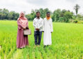 সখীপুরে আউশ আবাদে কৃষকদের আগ্রহ বাড়ছে