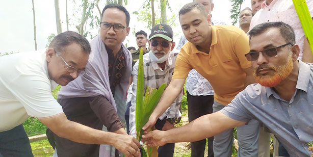 মধুপুরে পরিবেশের ভারসাম্য রক্ষায় বৃক্ষরোপণ কর্মসূচির উদ্বোধন