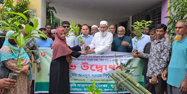 ভুঞাপুরে কৃষি প্রণোদনা কর্মসূচির উদ্বোধন কৃষকদের মাঝে বিনামূল্যে চারা গাছ ও স্যার বিতরণ