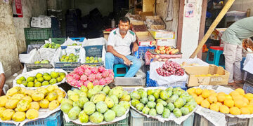 টাঙ্গাইলে মধু মাস: রঙে-রসে পরিপূর্ণ ফলের বাজার